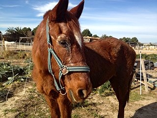 Dolores on day of rescue