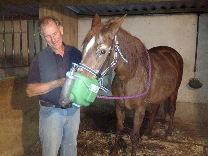 A specialist horse nebuliser